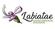 Labiatae