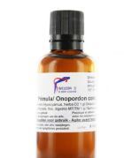 Onopordon / Primula COMP.B-Cardiodoron-60Ml.