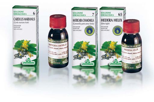Vaccinium Myrtllus Tm 31 50Ml