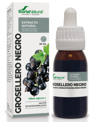 Soria Natural Blackcurrant Natural Extract 50 ml