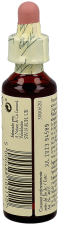 Bach 35 White Chestnut 20 ml