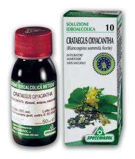 Hydro-alcoholic Solution 10 Hawthorn 50 ml