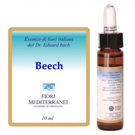 Forza Vitale Fm 3 Beech 10 ml