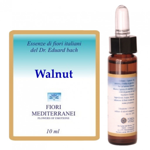 Forza Vitale Fm 33 Walnut 10 ml