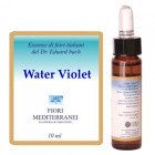 Fm 34 Water Violet 10 ml
