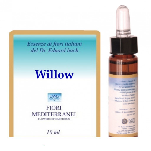 Forza Vitale Fm 38 Willow 10 ml