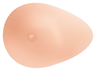 Essential prosthesis 2E 474