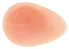 Essential prosthesis 2E 474