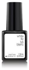 Nail Enamel Color Gel