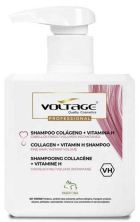 Collagen + Vitamin H Shampoo 500 ml