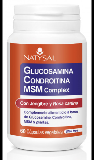 Glucosamine + Chondroitin + Msm Complex 60 capsules