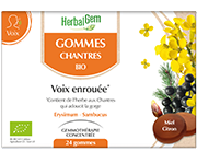 HerbalGem Soft Pills Voice Bio 24 units