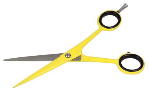Zenish 6" scissors