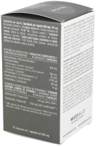 Mico-Leo Lion&#39;s Mane 70 Capsules