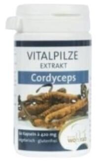 Pilze Wohlrab Cordyceps 60 Capsules